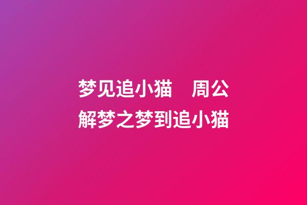 梦见追小猫　周公解梦之梦到追小猫